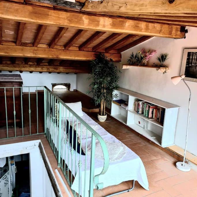 La Casa Del Gallo Radicondoli Dış mekan fotoğraf