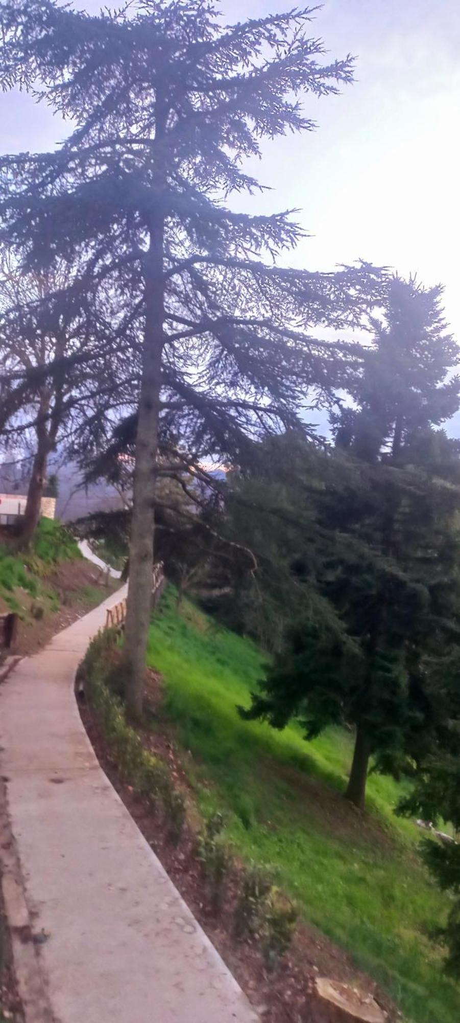 La Casa Del Gallo Radicondoli Dış mekan fotoğraf